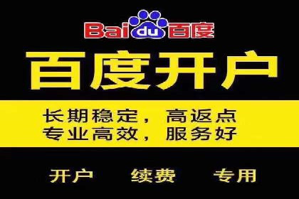 竞价排名成功案例分享